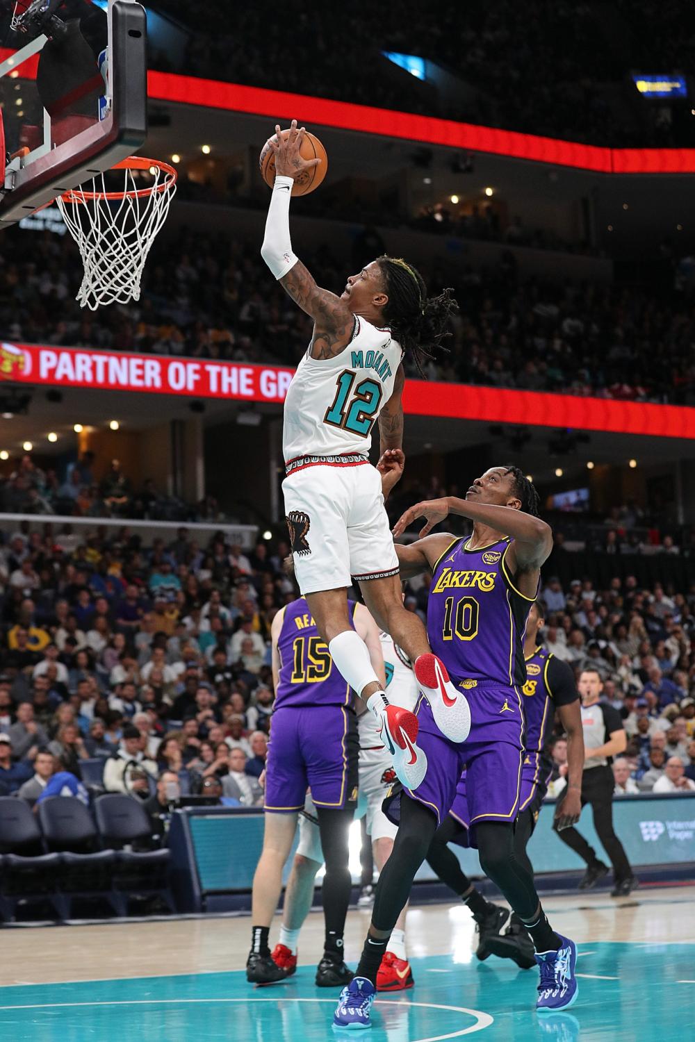 本土辐射开 本土辐射开